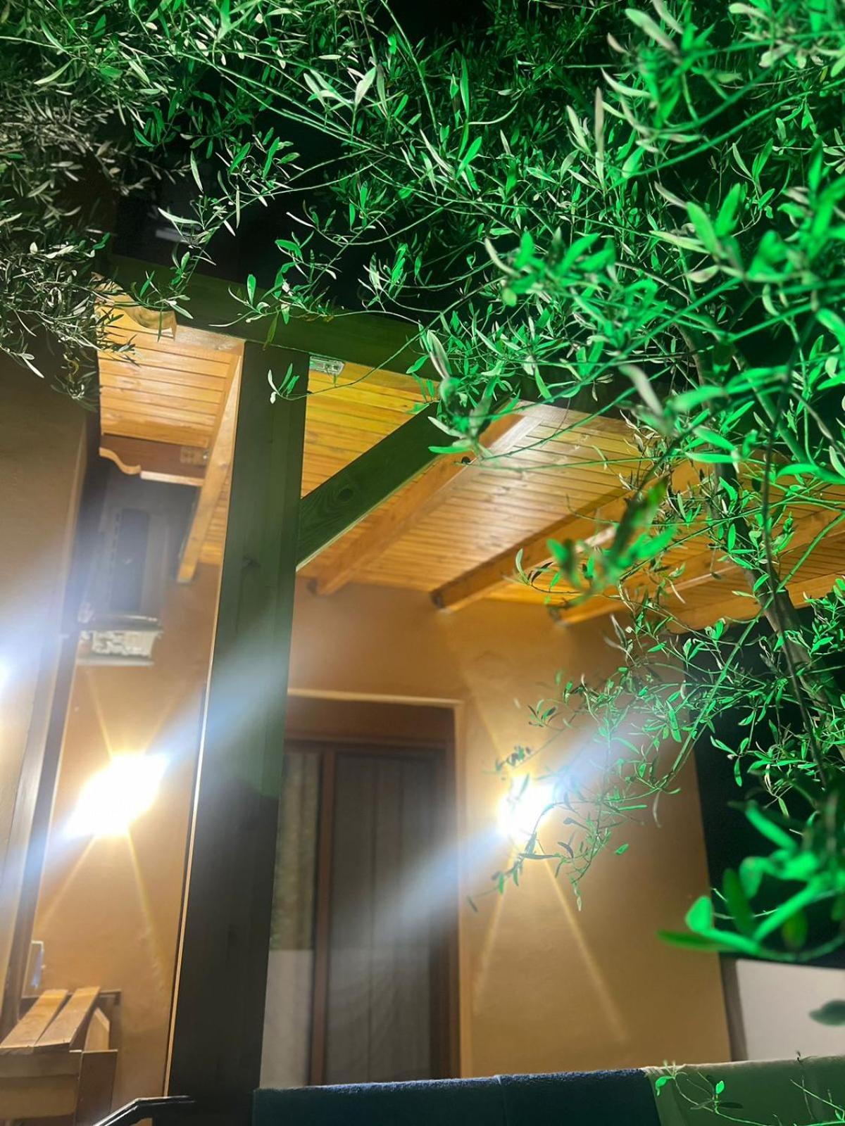 Vila Magis Vlorë Extérieur photo
